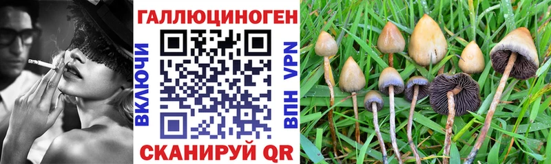 Псилоцибиновые грибы Magic Shrooms  Грязи 